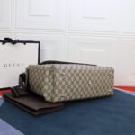 GG plus diaper bag - 图片 5