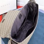 GG plus diaper bag - 图片 8