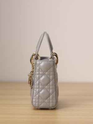 Mini Lady Dior handbag(channel) - 图片 3