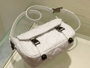 Diorcamp Handbag - 图片 2