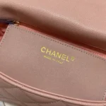 CHANE Style: AS3468 Size: 21*15*7.5cm - 图片 3