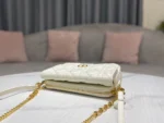 Caro Chain Clutch Size:17.5*10.5*5 cm - 图片 3