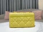 CARO Handbag Size: 25.5*15.5*8 cm - 图片 4