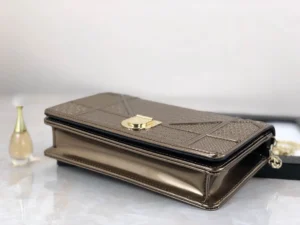 Diorama Woc Chain Bag Size: 19cm - 图片 3