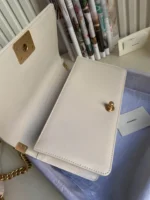 Chanel Calfskin Size:25x15x9cm - 图片 5