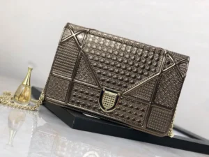 Diorama Woc Chain Bag Size: 19cm