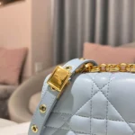 CARO Handbag Size: 20cm - 图片 5