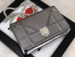 Diorama Woc Chain Bag Size: 19cm - 图片 3