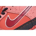 Concepts x Nike SB Dunk Low - 图片 5