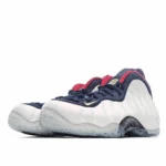 Nike Air Foamposite one Olympic Spray - 图片 5