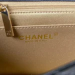 Chane Small Golden Ball One Shoulder Crossbody Model: AS1786 Size: 17cm - 图片 6