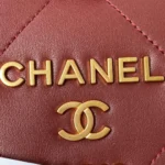 Chane Pillow Bag Model: AS2749 Size: 22.5-13-18cm - 图片 6
