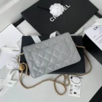 Chane Chain Pouch Size: 19cm - 图片 5