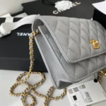Chane Chain Pouch Size: 19cm - 图片 6