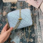 Chane Sachet Model AS2856 Dimensions: 18x14x7cm - 图片 7