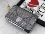 Diorama Woc Chain Bag Size: 19cm - 图片 4