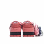 Concepts x Nike SB Dunk Low - 图片 7