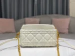 Caro Chain Clutch Size:17.5*10.5*5 cm - 图片 8