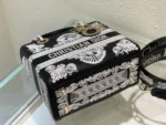 Lady D-Lite Clutch Size: 24cm - 图片 9