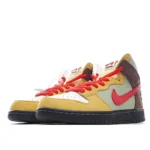 Color Skates x Nike SB Dunk High - 图片 9