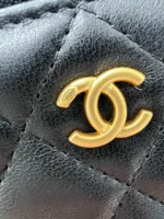 CHANE size 17X9.5X8 - 图片 8