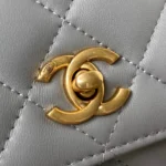 Chane Chain Pouch Size: 19cm - 图片 9