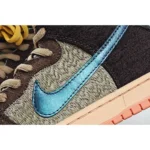 Concepts X Nike SB Dunk High Pro QS Mallard棕绿 - 图片 9