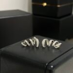 Spiral Earrings - 图片 8