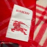 Check Wool Scarf Crayon red - 图片 8
