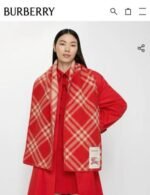 Check Wool Scarf Crayon red - 图片 10