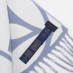 LV Medallion Scarf Light blue - 图片 8