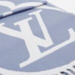 LV Medallion Scarf Light blue - 图片 5