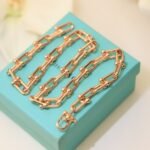 Tiffany HardWear - 图片 6