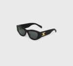 Triomphe 15 Sunglasses in Acetate