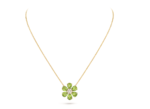 Fleurs d’Hawaï pendant