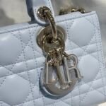 Medium Lady D-Joy Bag - 图片 5