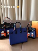 Hermes Birkin House Bag - 图片 14