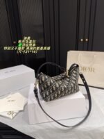 Dior Canvas Lunchbox Bag