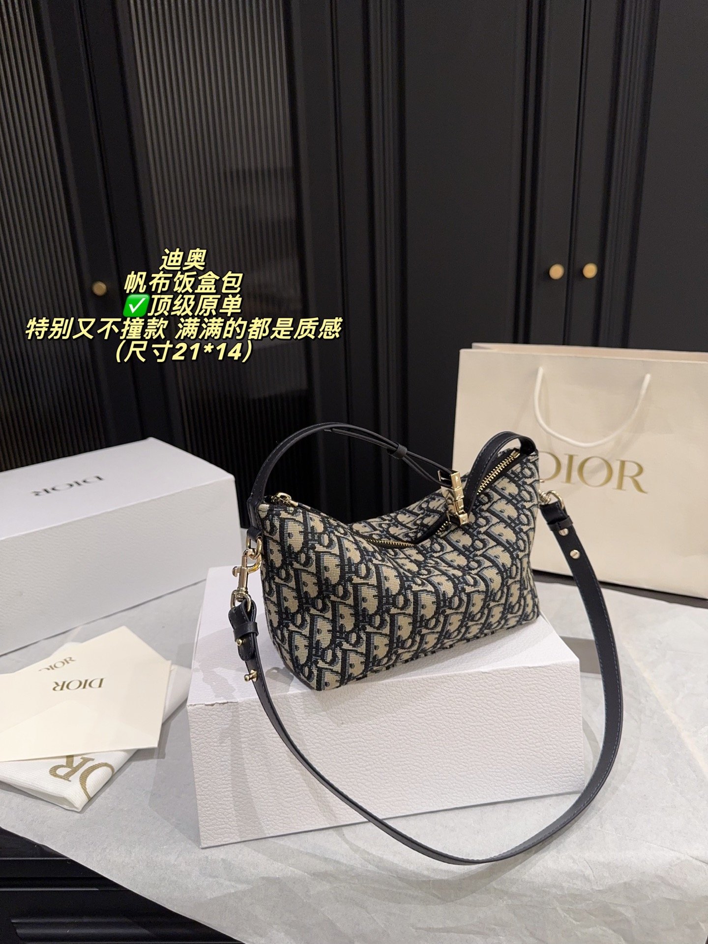 Dior Canvas Lunchbox Bag