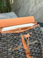 Goyard Alpin Backpack - 图片 5